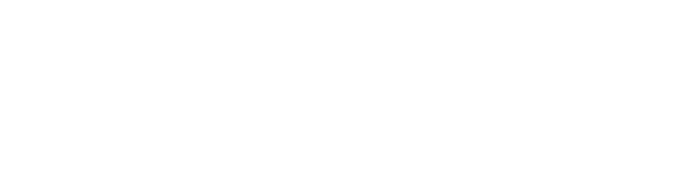 중립적인 플랫폼